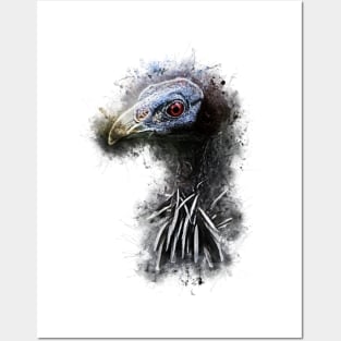 Vulturine Guinea Fowl Posters and Art